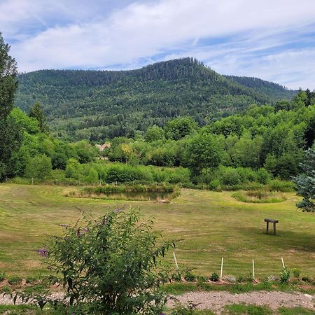 Gite Forestier Du Moulin Raon-sur-Plaine Εξωτερικό φωτογραφία