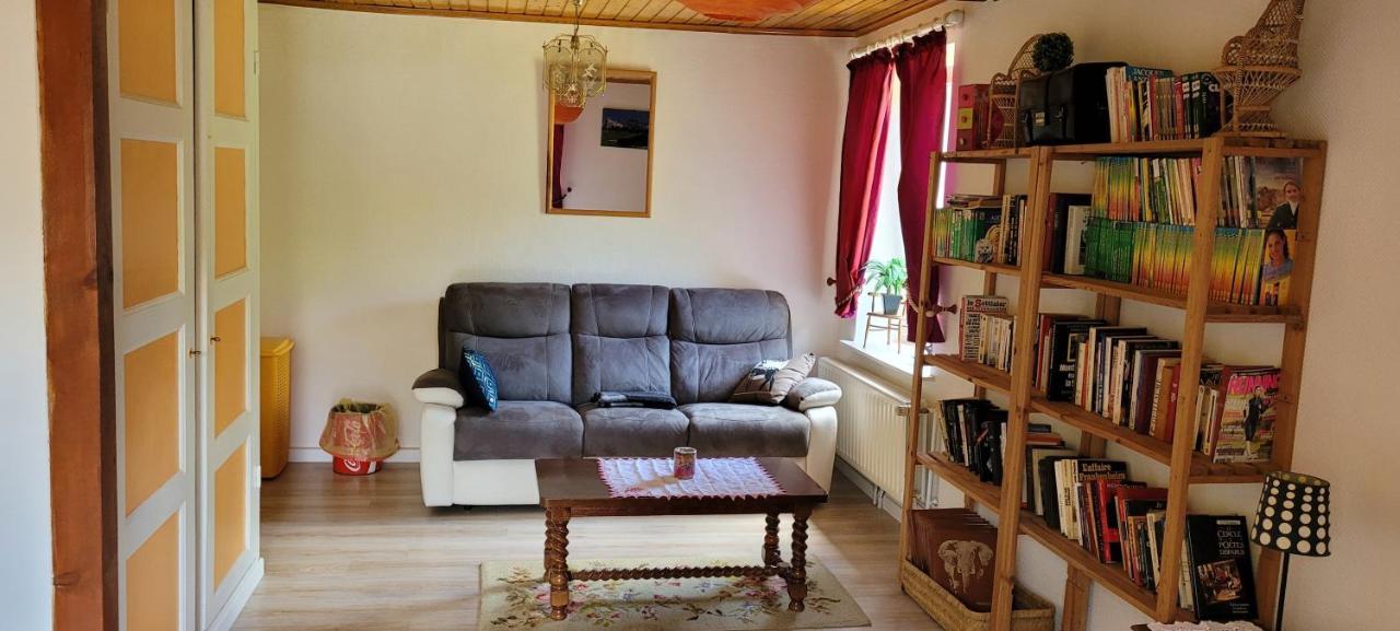Gite Forestier Du Moulin Raon-sur-Plaine Εξωτερικό φωτογραφία