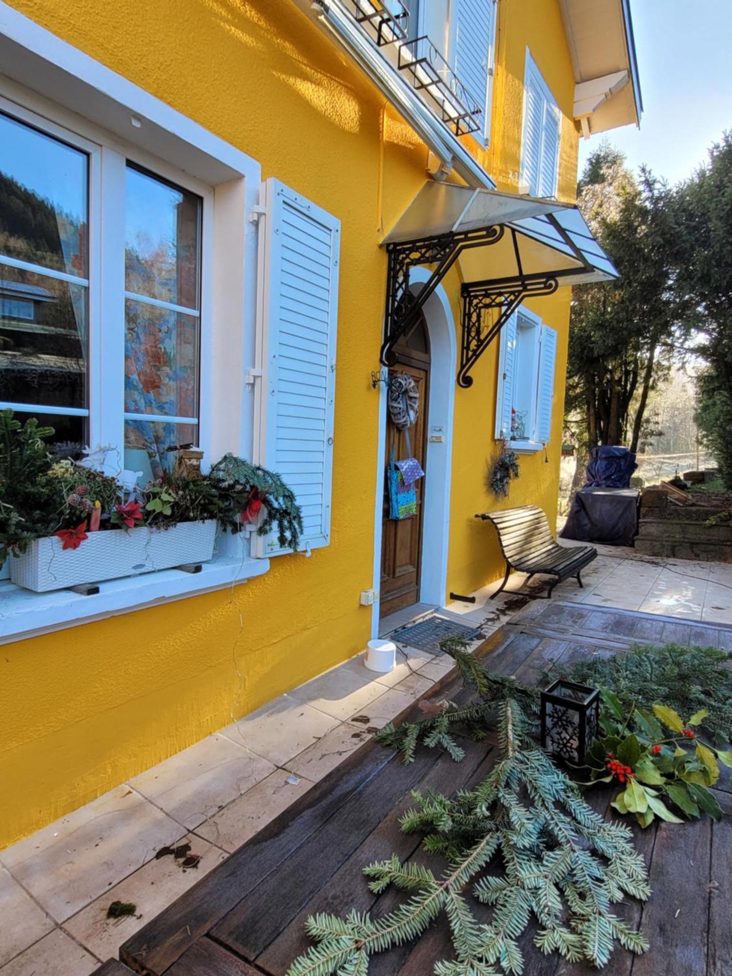 Gite Forestier Du Moulin Raon-sur-Plaine Εξωτερικό φωτογραφία