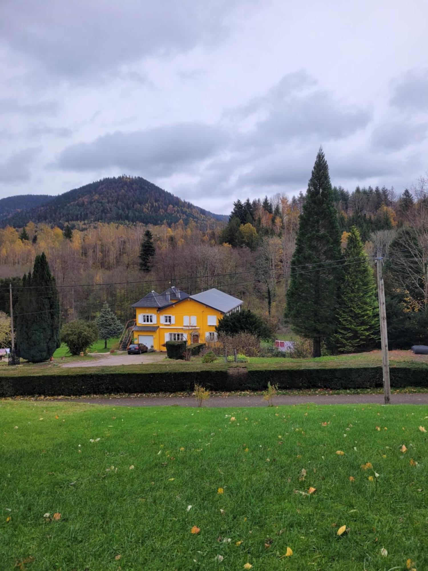 Gite Forestier Du Moulin Raon-sur-Plaine Εξωτερικό φωτογραφία