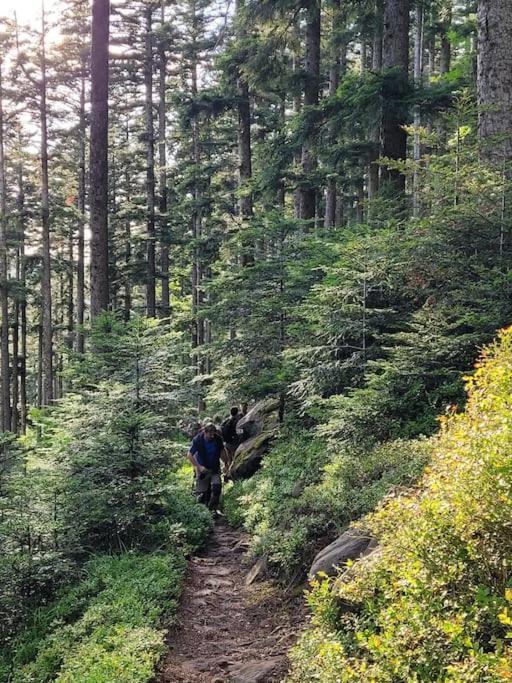 Gite Forestier Du Moulin Raon-sur-Plaine Εξωτερικό φωτογραφία