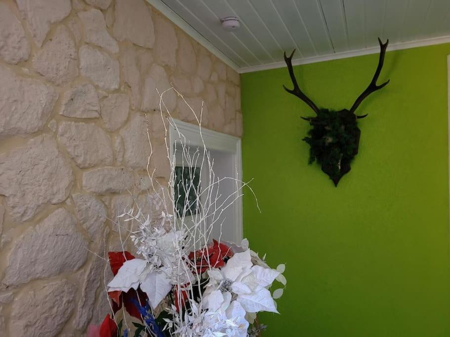 Gite Forestier Du Moulin Raon-sur-Plaine Εξωτερικό φωτογραφία