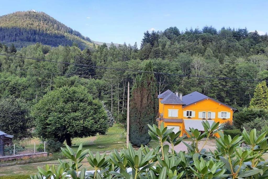 Gite Forestier Du Moulin Raon-sur-Plaine Εξωτερικό φωτογραφία
