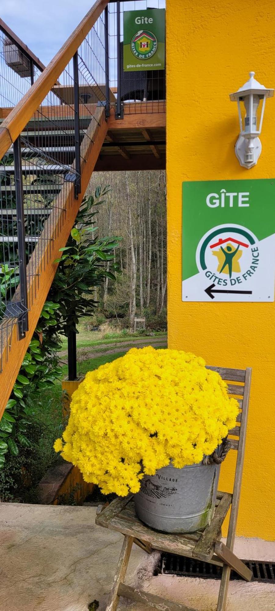 Gite Forestier Du Moulin Raon-sur-Plaine Εξωτερικό φωτογραφία