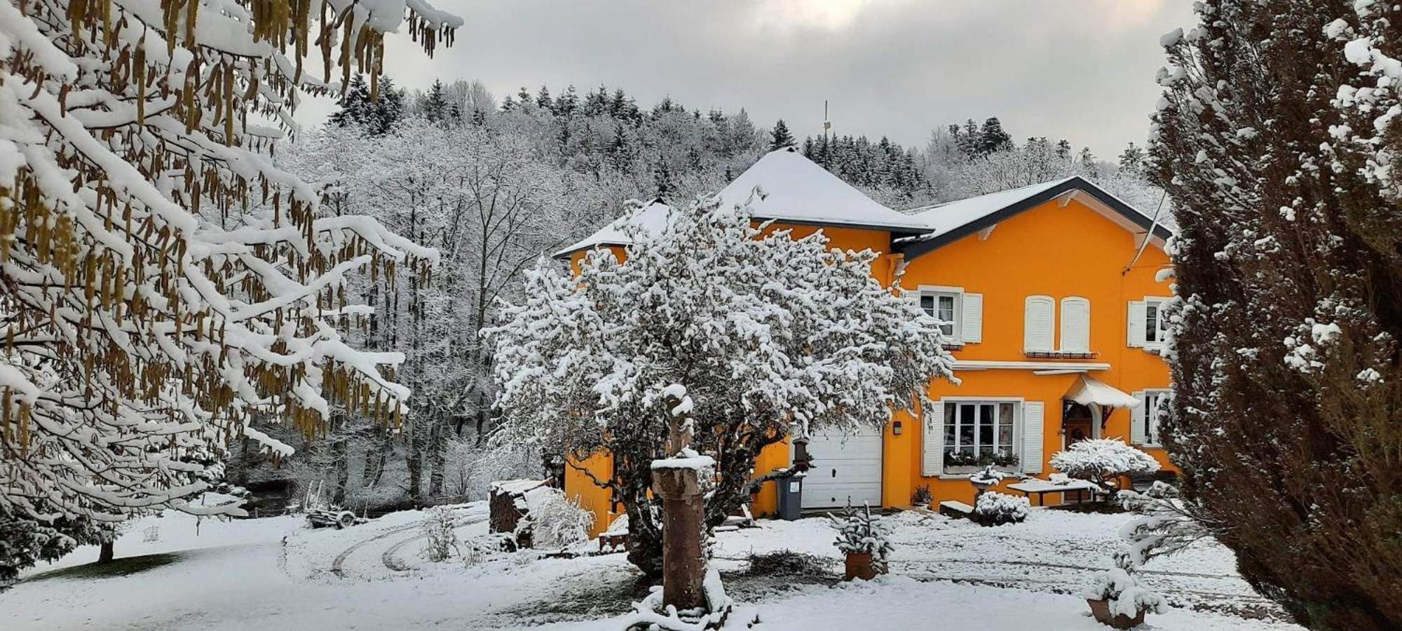 Gite Forestier Du Moulin Raon-sur-Plaine Εξωτερικό φωτογραφία
